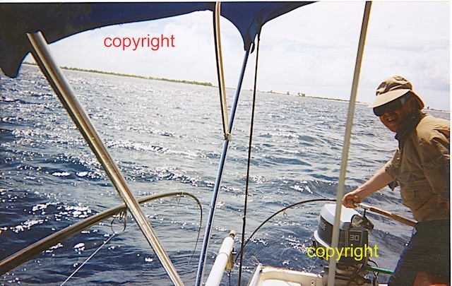 2 yellowfin tuna sounding, Christmas Island