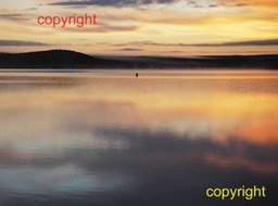 IMGP2186