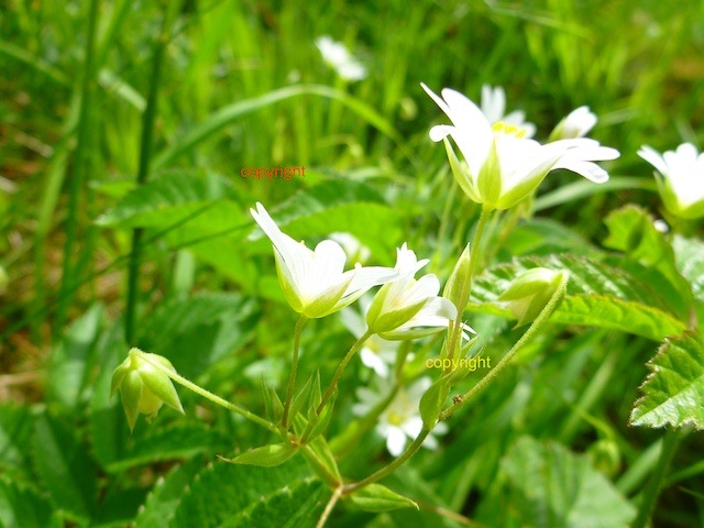 P1120701